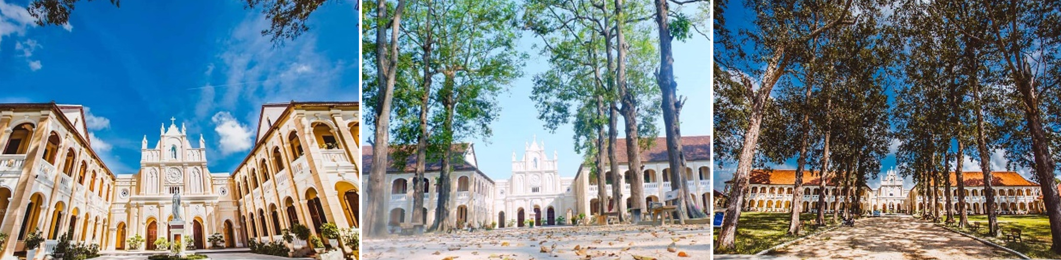 tour kỳ co - lặn san hô bãi dứa