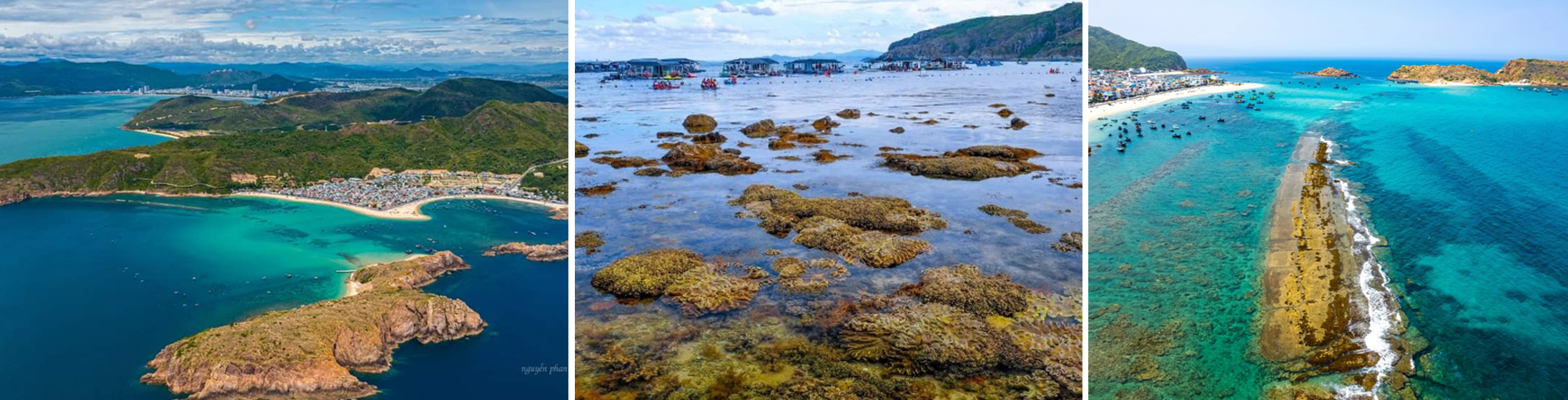 tour kỳ co - lặn san hô bãi dứa