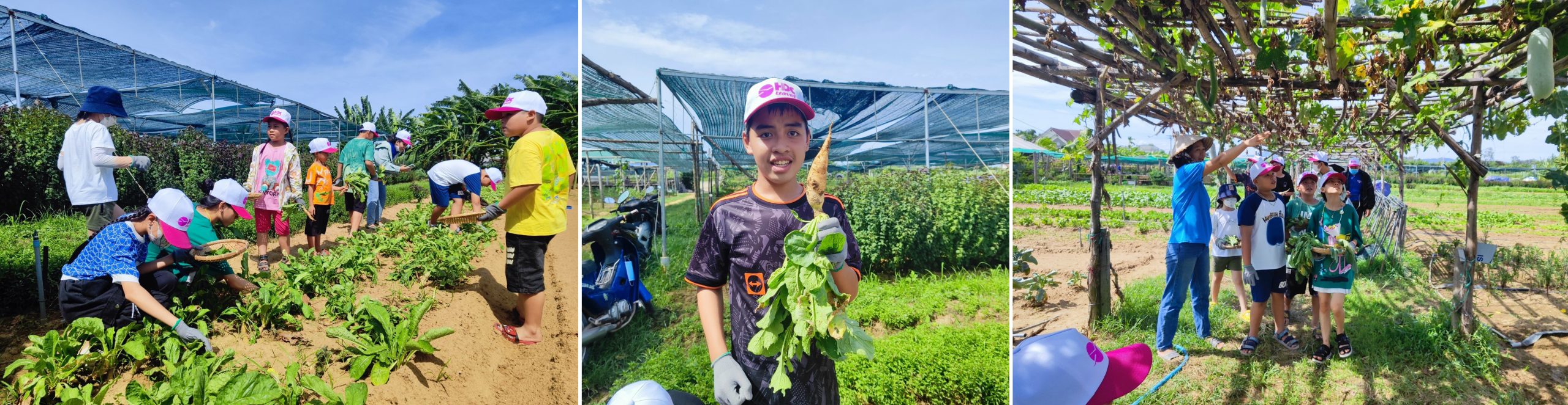 tour kỳ co - lặn san hô bãi dứa