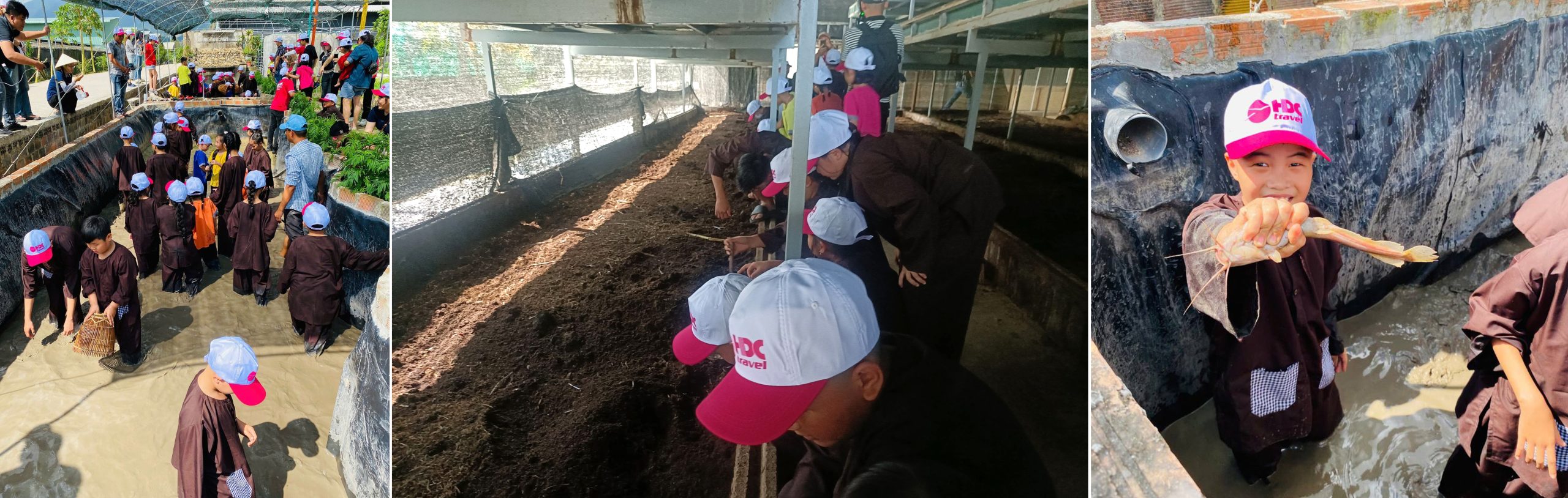 tour kỳ co - lặn san hô bãi dứa