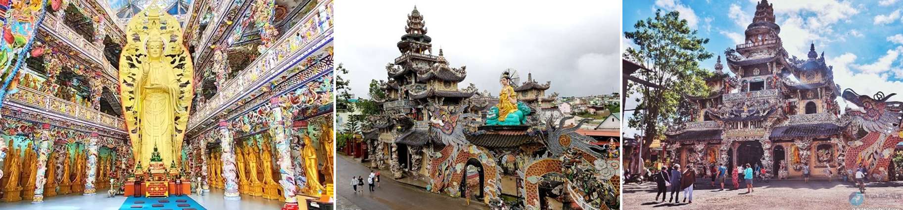 tour kỳ co - lặn san hô bãi dứa