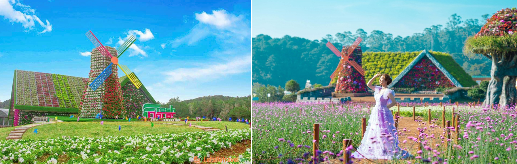 tour kỳ co - lặn san hô bãi dứa