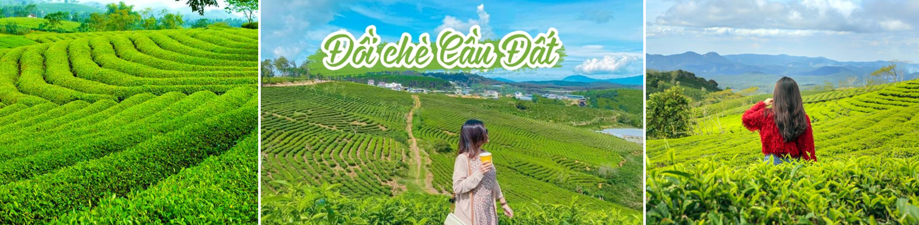 tour kỳ co - lặn san hô bãi dứa