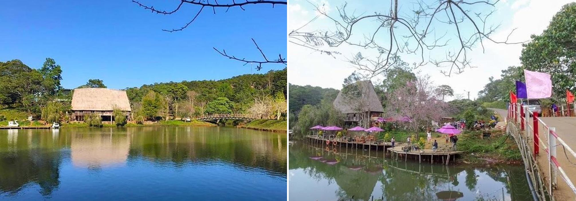 tour kỳ co - lặn san hô bãi dứa