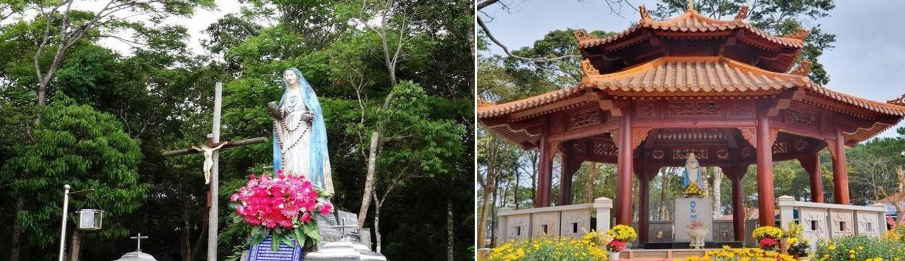 tour kỳ co - lặn san hô bãi dứa