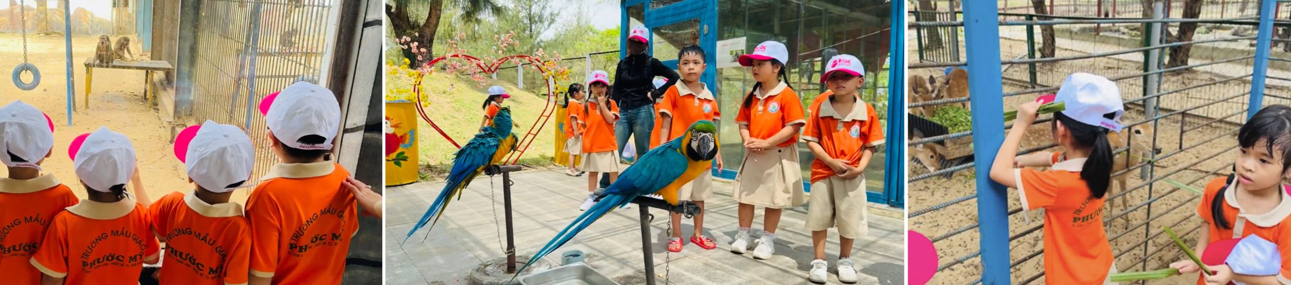 tour kỳ co - lặn san hô bãi dứa